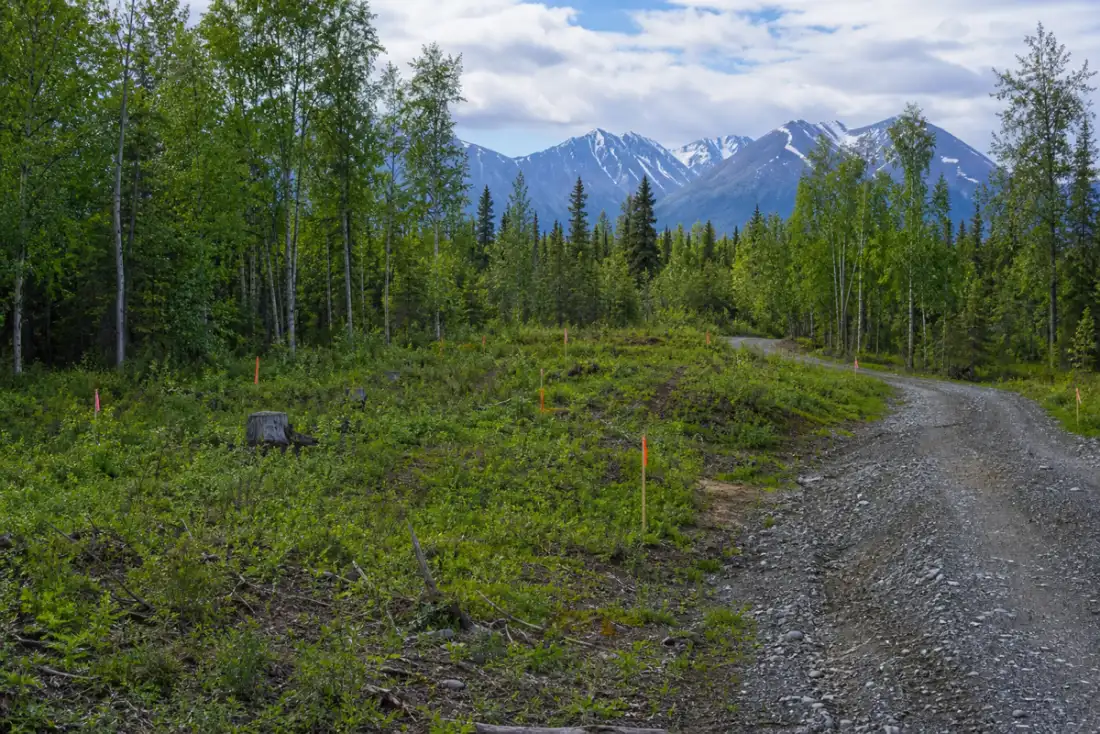 Alaska Vacant Land Buying Checklist 2026