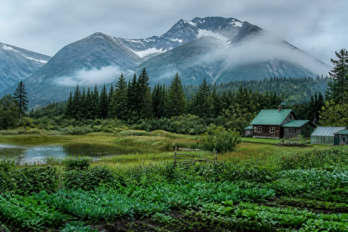 Gustavus Alaska Real Estate: Buyer's Guide