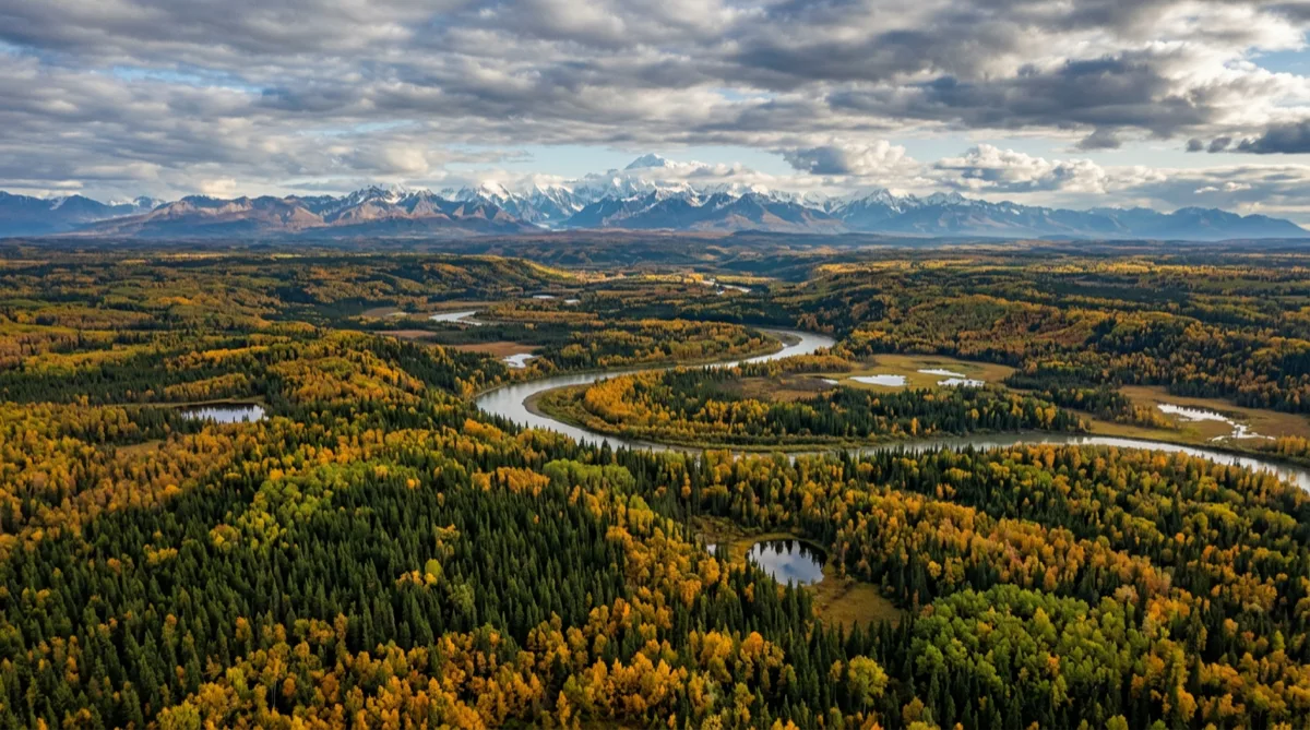 Interior Alaska Real Estate: Buyer's Guide